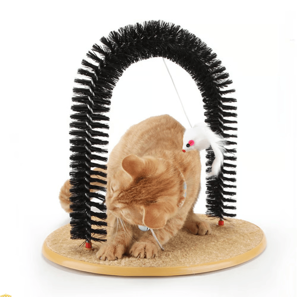 Cat Arch Scratcher