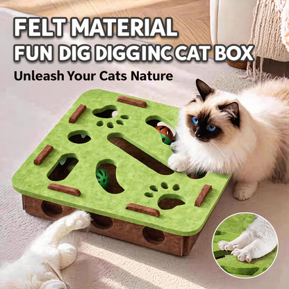 🐱Cat Toy Box with Interactive Maze