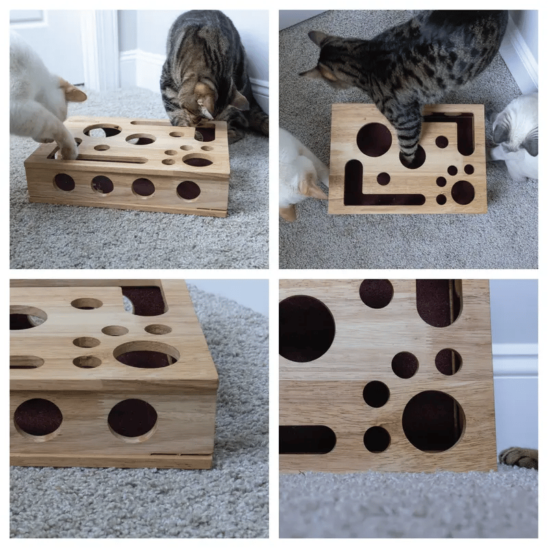 🎁😻 Cat Scratching Toy Box: Easily trim your cat’s nails without nail clippers or a nail file