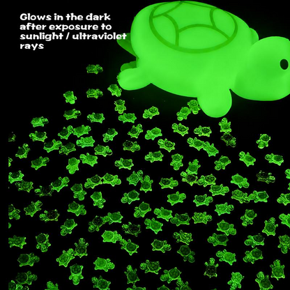 Anboor Resin Turtles