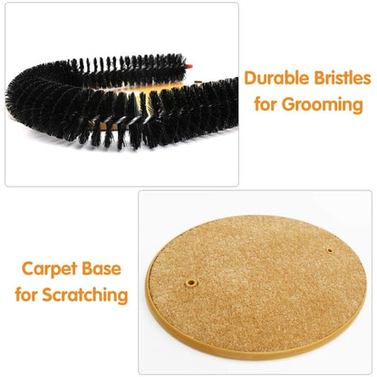 Cat Arch Scratcher