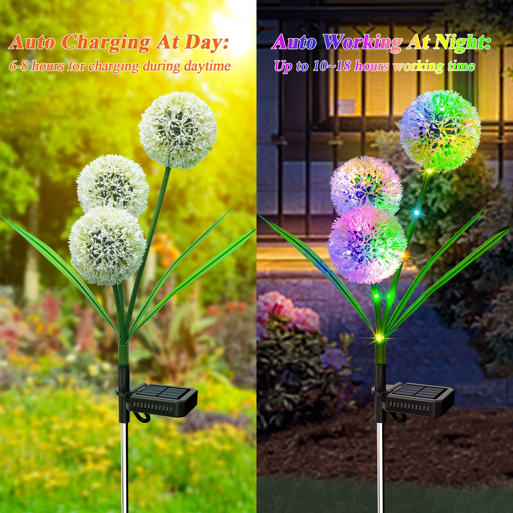 MagicGlow Solar Dandelion Lights