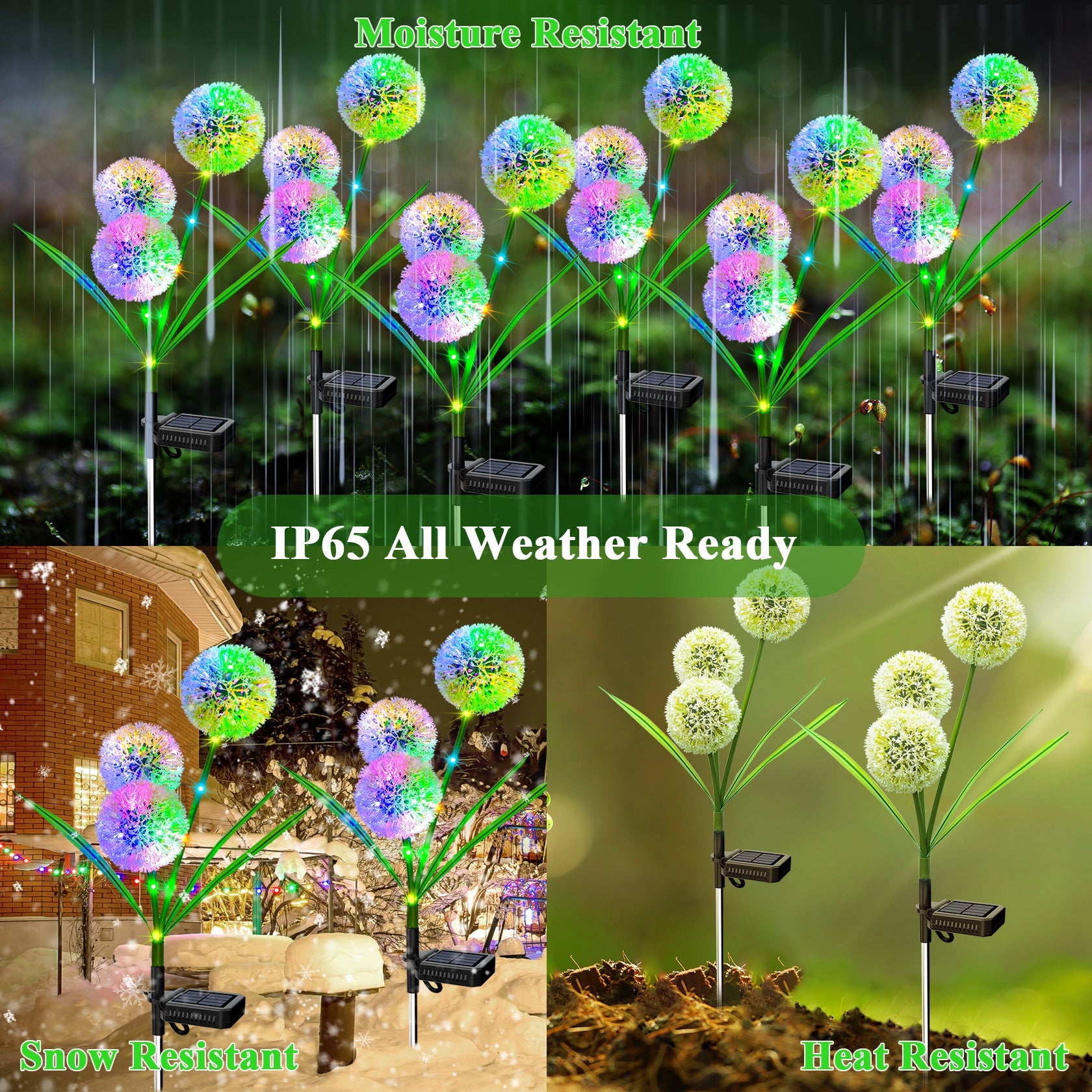 MagicGlow Solar Dandelion Lights